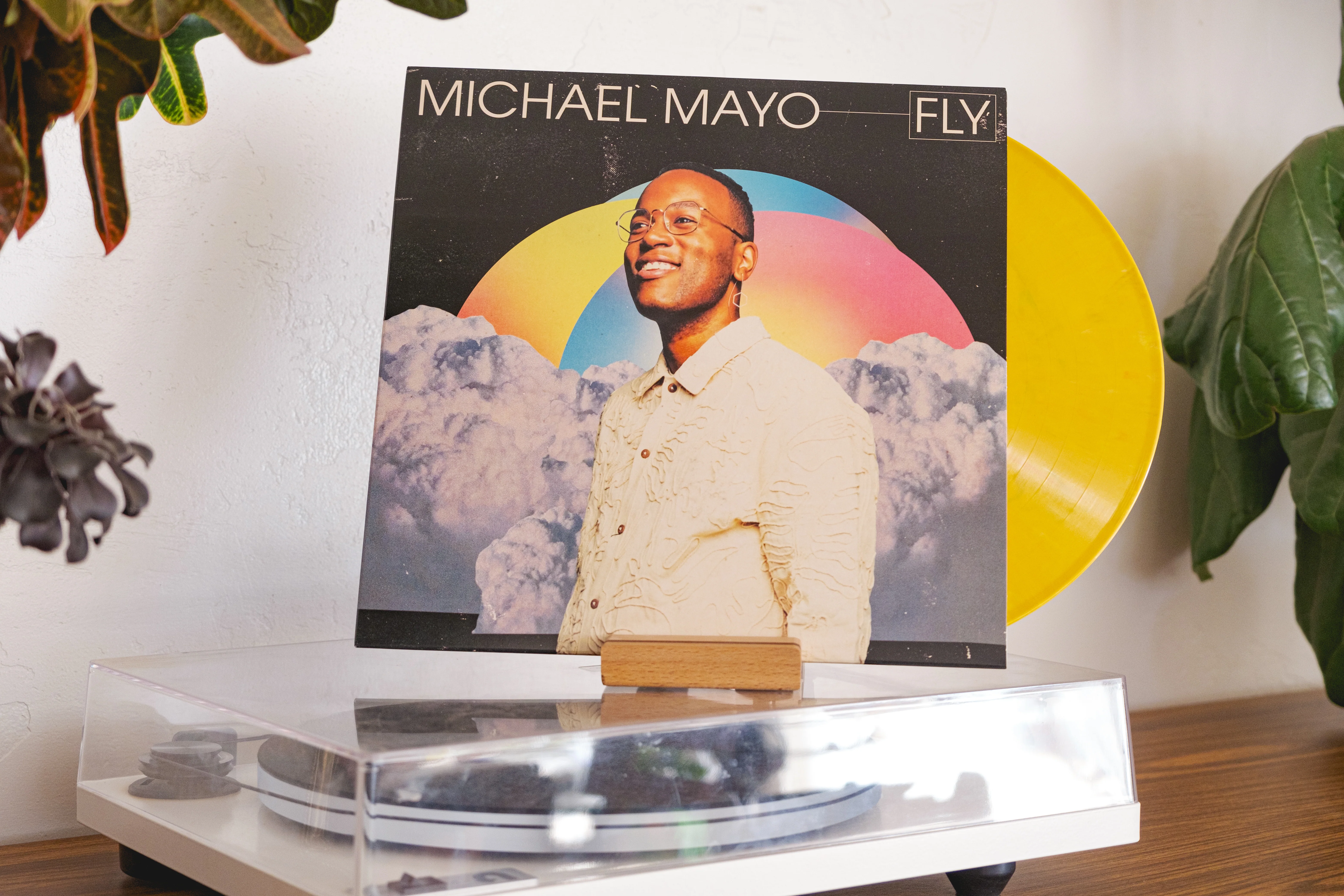 Michael Mayo - Fly - Image 4