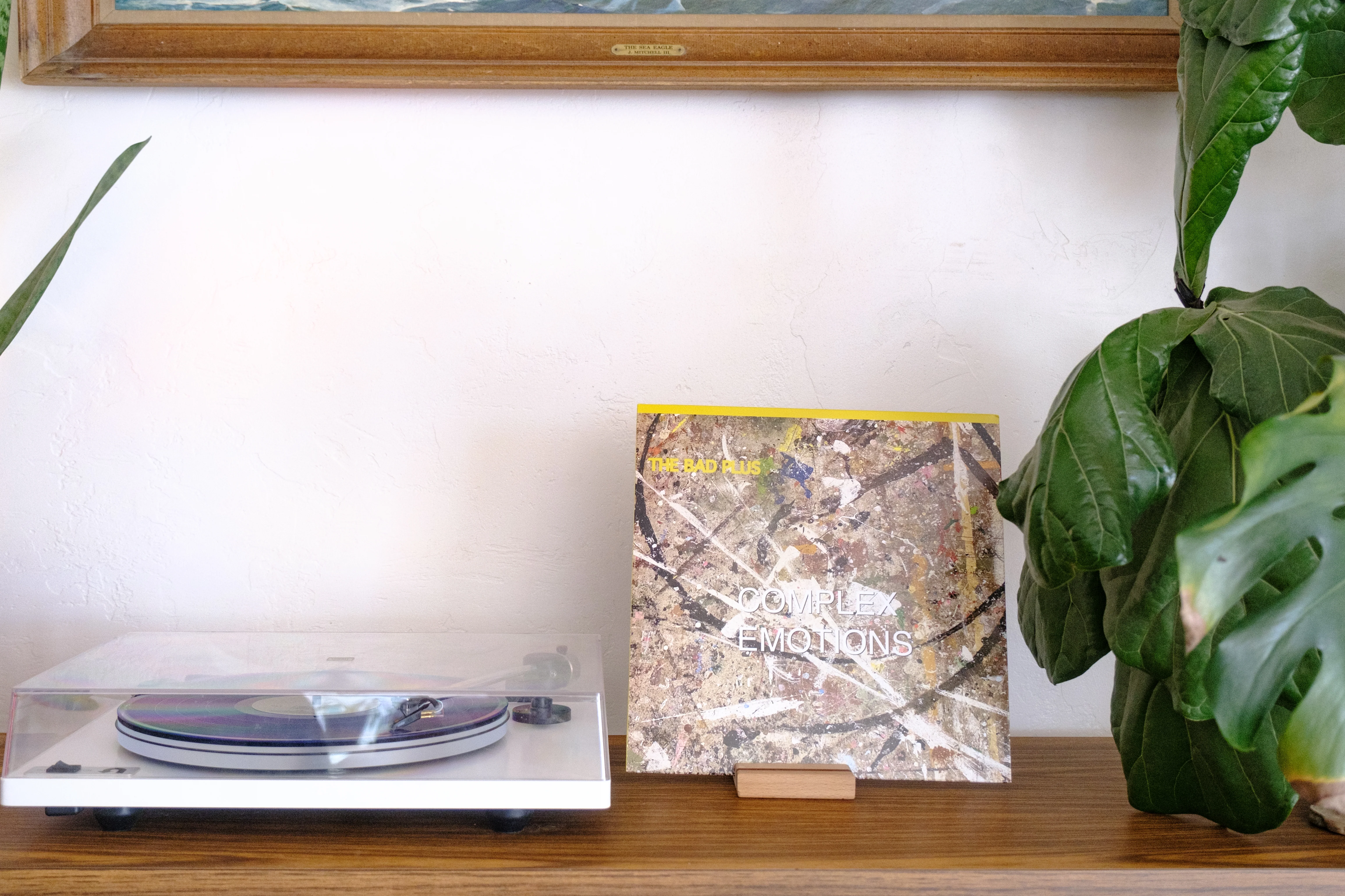 The Bad Plus - Complex Emotions - Image 5