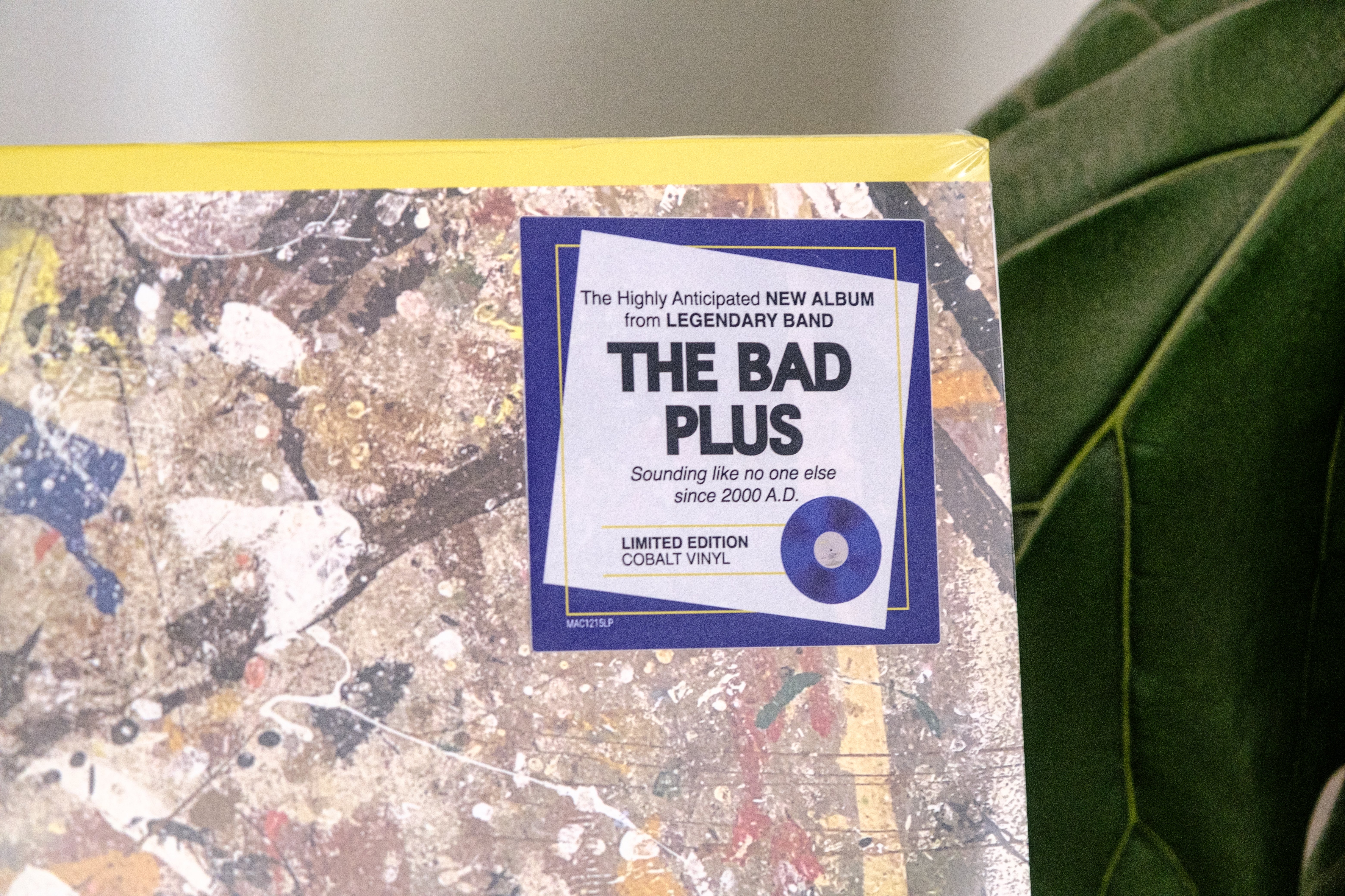 The Bad Plus - Complex Emotions - Image 6